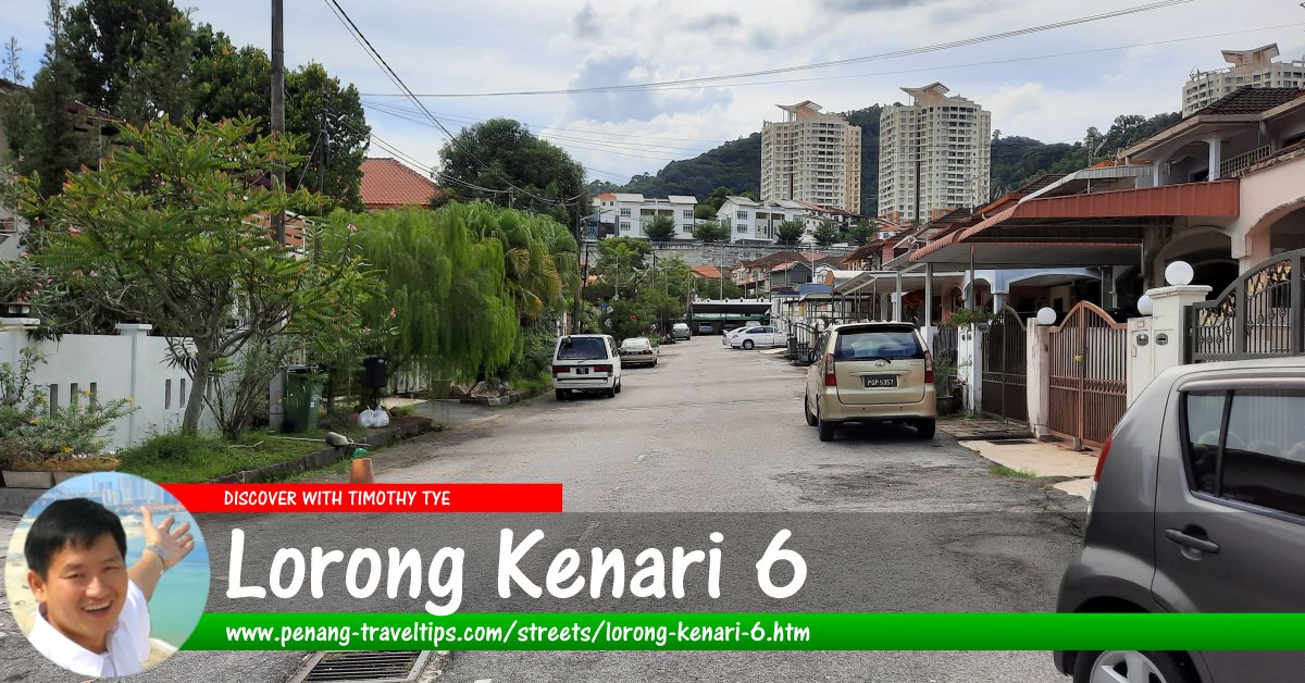 Lorong Kenari 6, Sungai Ara