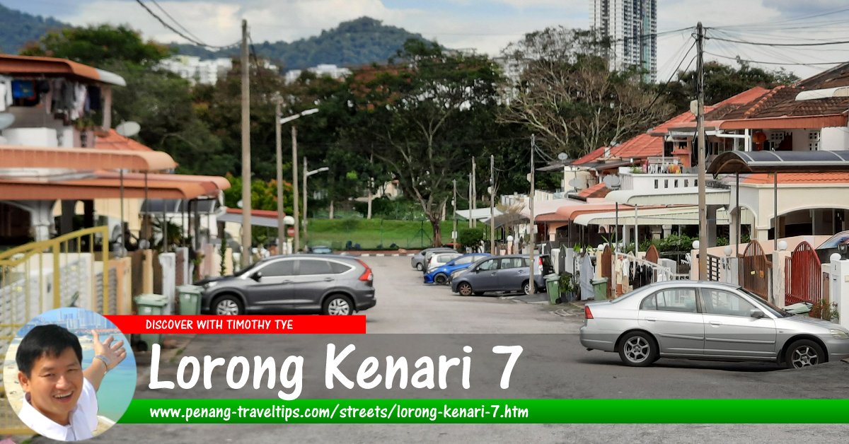 Lorong Kenari 7, Sungai Ara