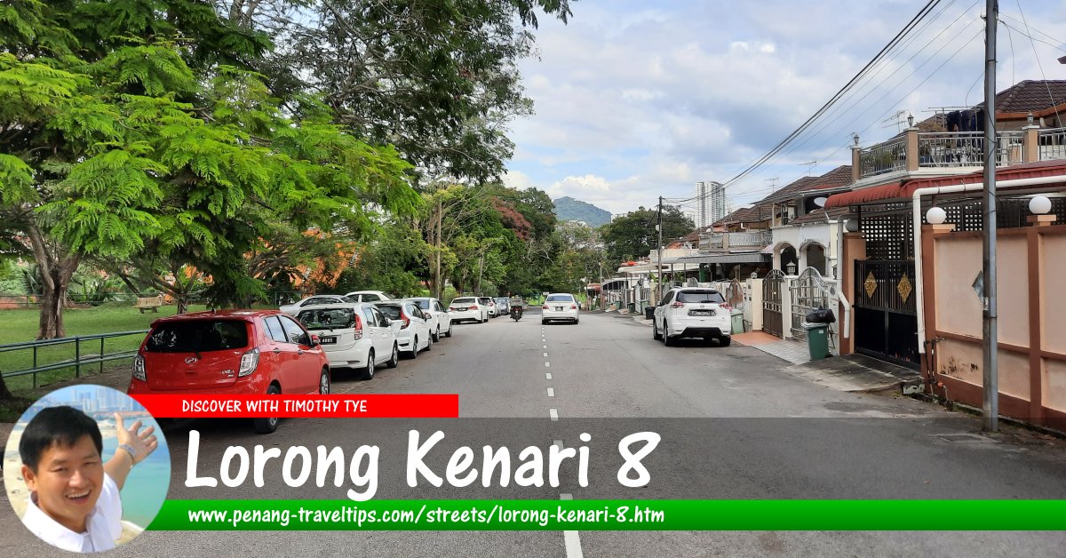 Lorong Kenari 8, Sungai Ara