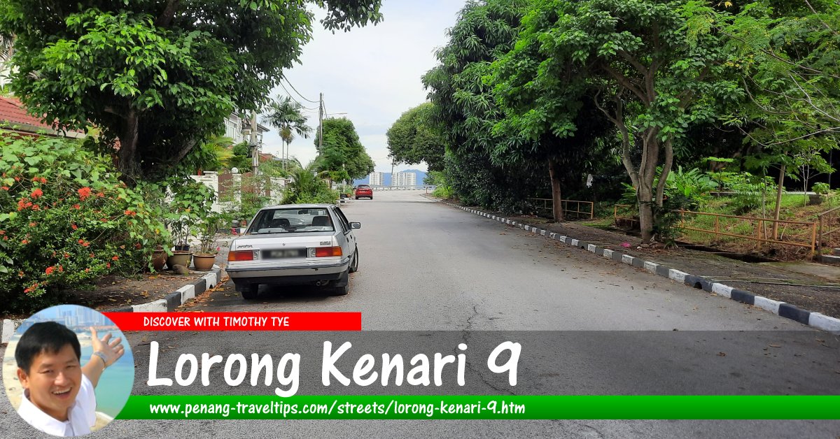 Lorong Kenari 9, Sungai Ara