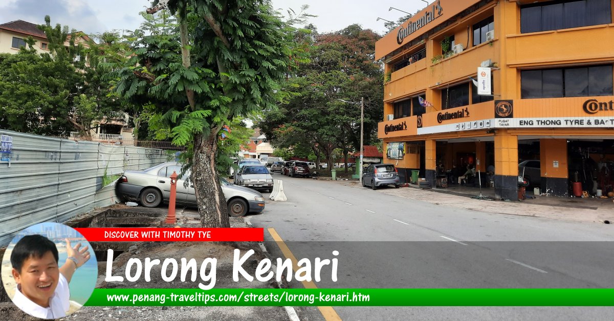 Lorong Kenari, Sungai Ara