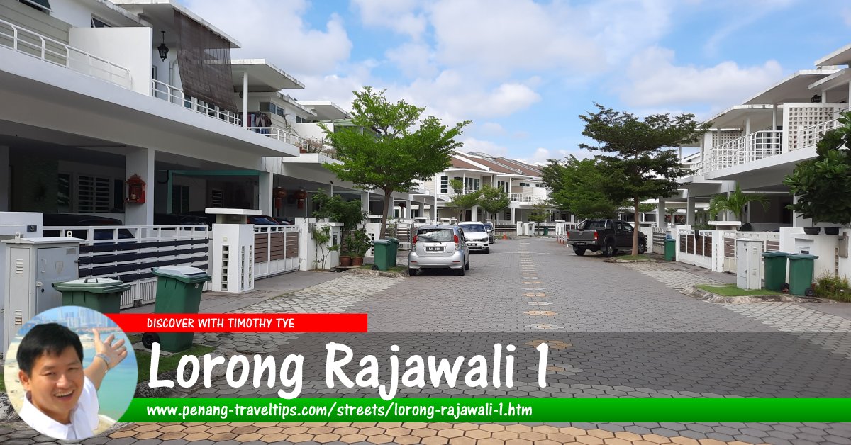 Lorong Rajawali 1, Sungai Ara