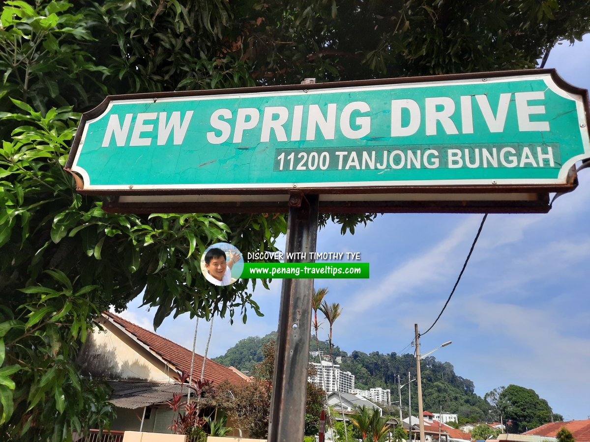 New Spring Drive roadsign