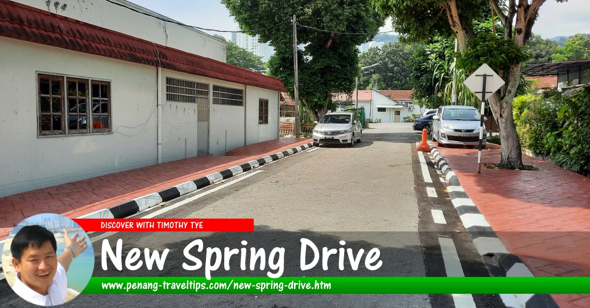 New Spring Drive