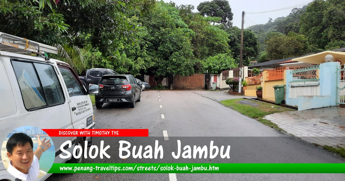 Solok Buah Jambu, Paya Terubong