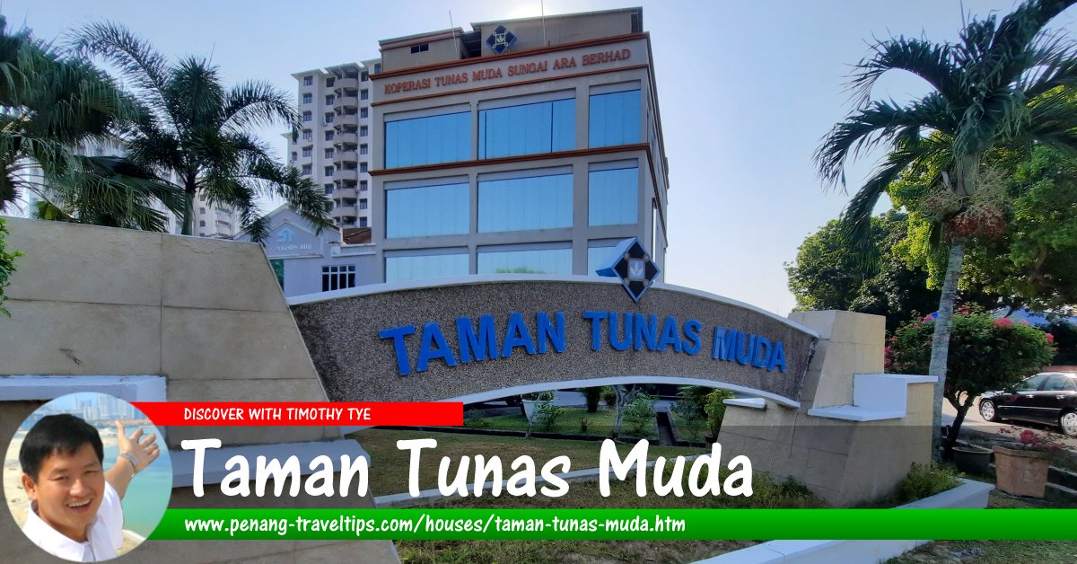 Taman Tunas Muda, Sungai Ara