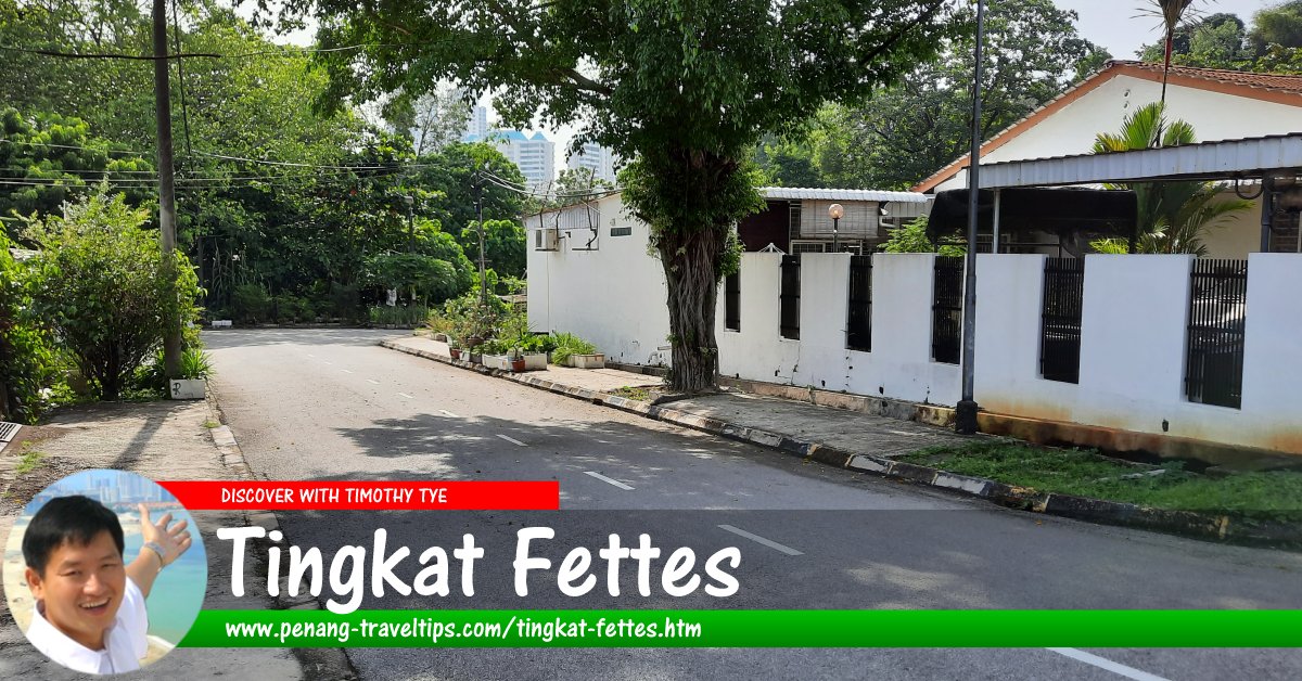 Tingkat Fettes, Tanjung Bungah