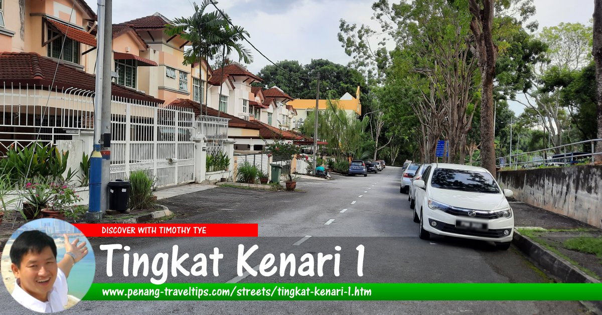 Tingkat Kenari 1, Sungai Ara