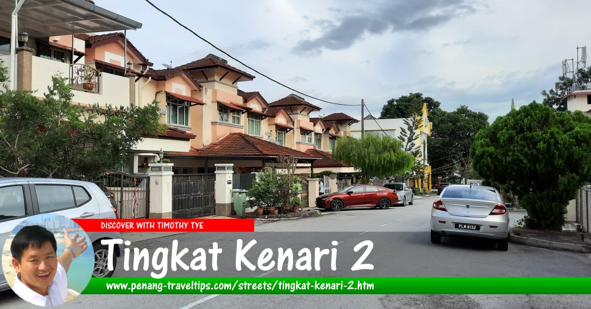 Tingkat Kenari 2, Sungai Ara