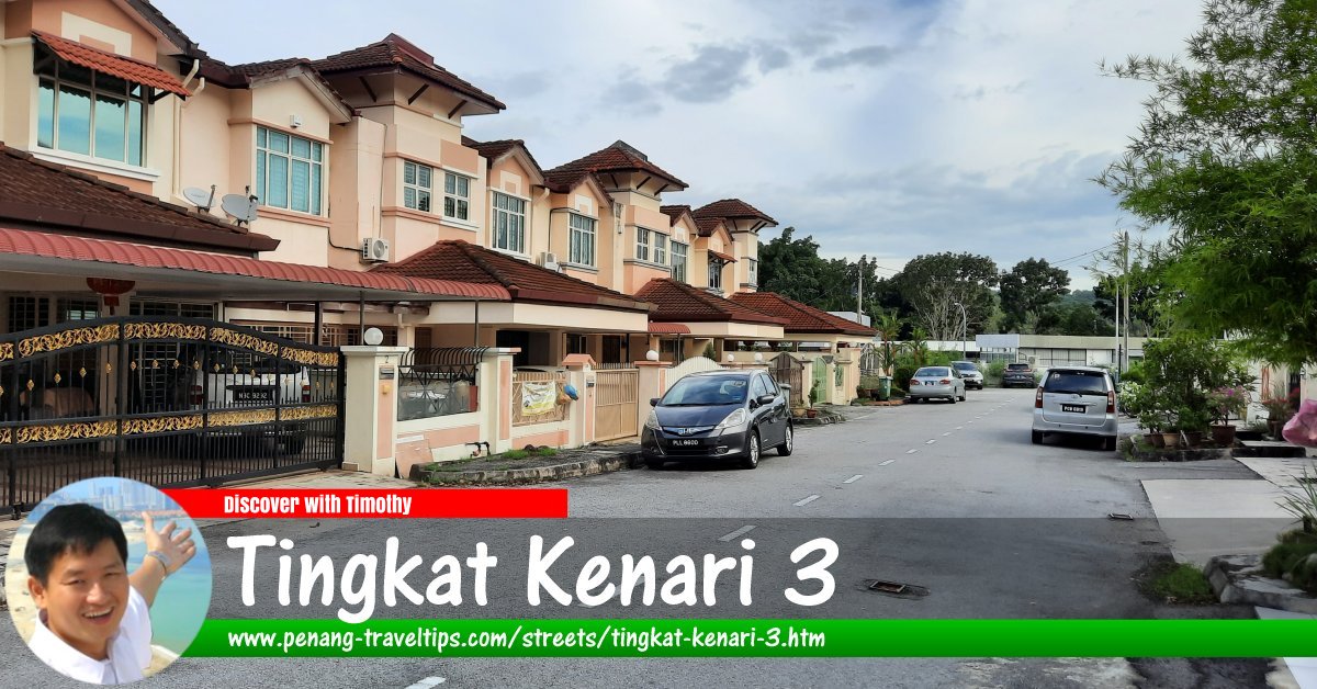 Tingkat Kenari 3, Sungai Ara