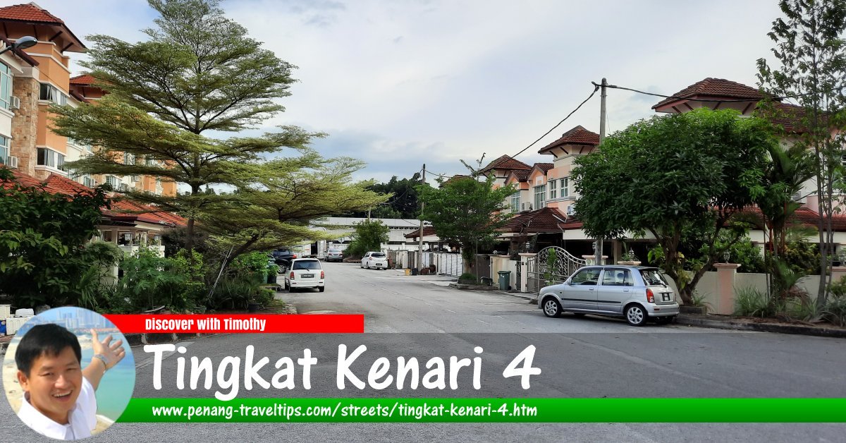 Tingkat Kenari 4, Sungai Ara