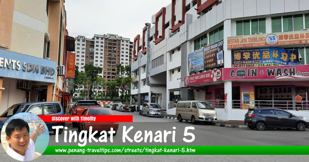 Tingkat Kenari 5, Sungai Ara