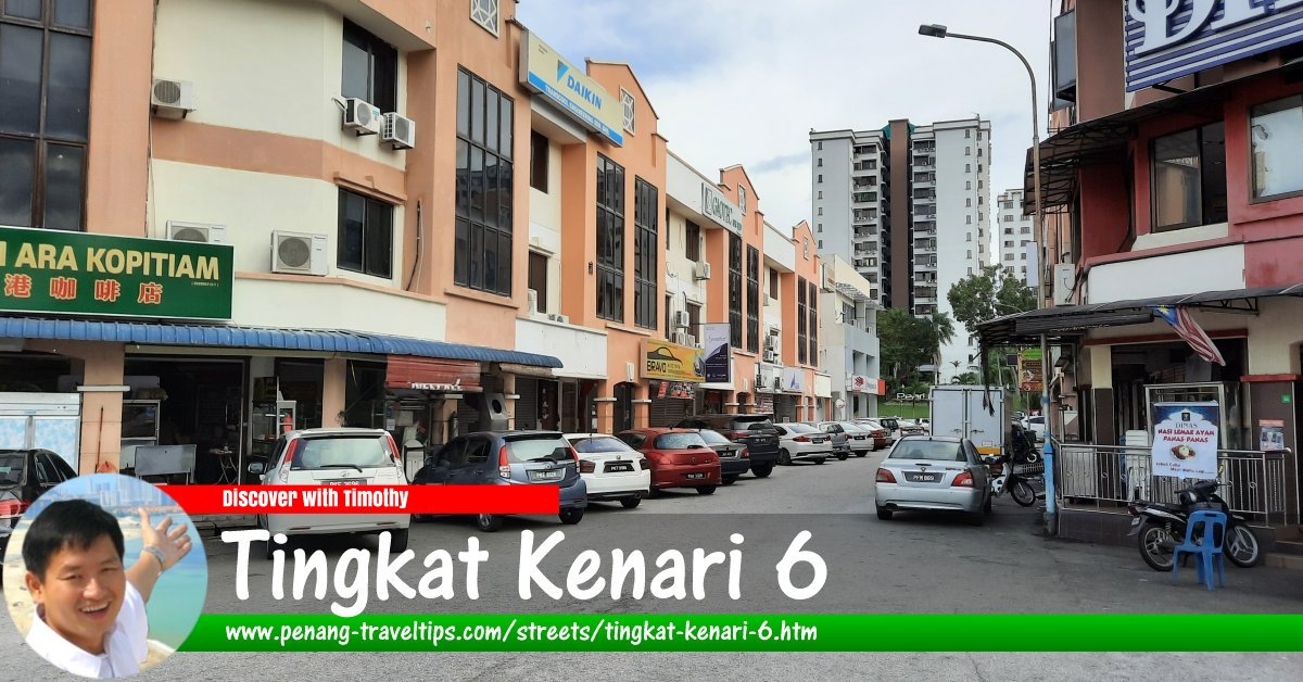 Tingkat Kenari 6, Sungai Ara