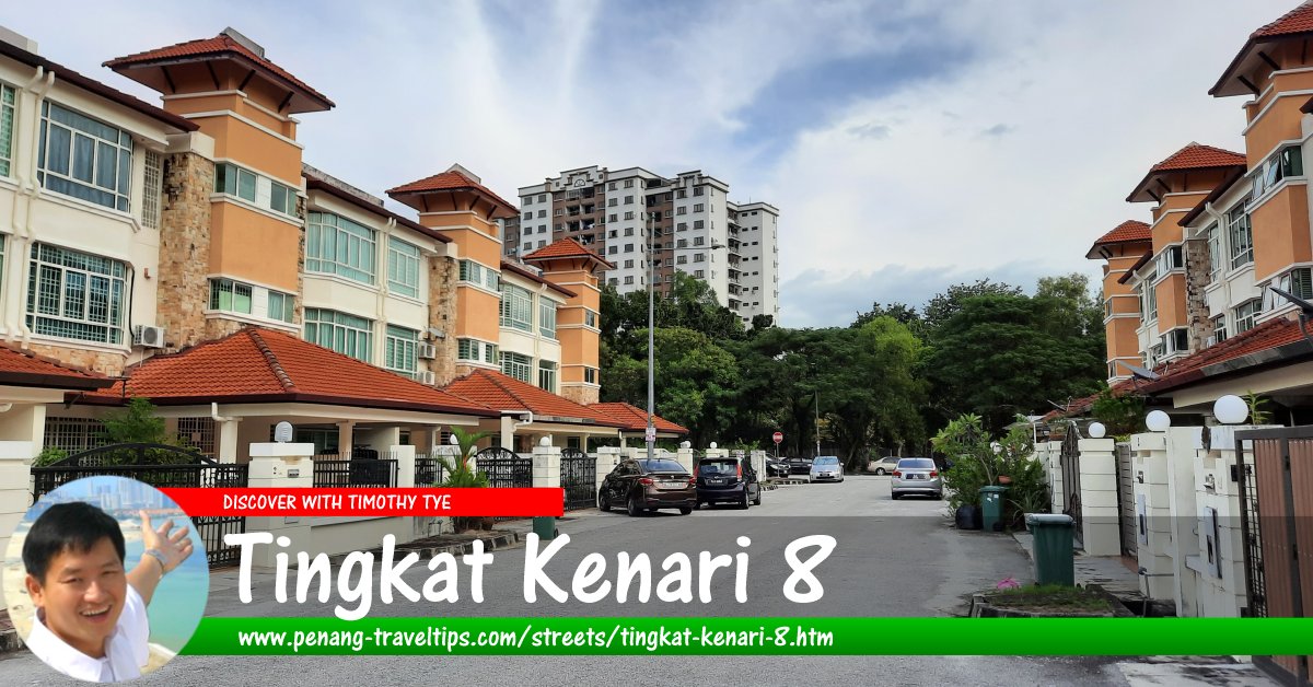 Tingkat Kenari 8, Sungai Ara