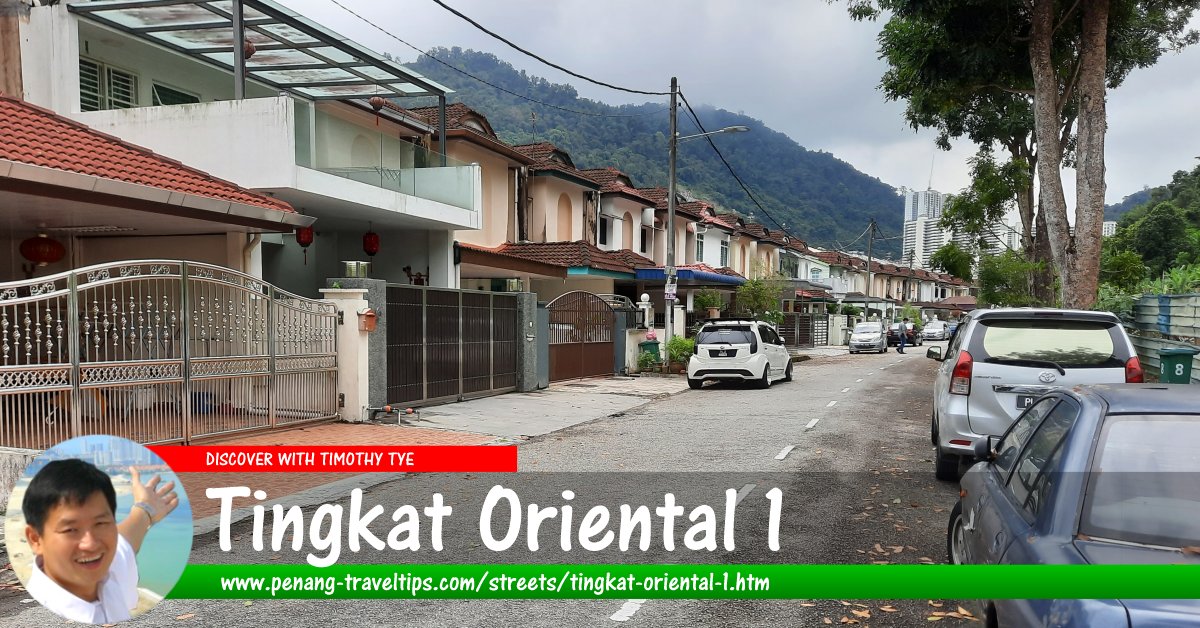 Tingkat Oriental 1, Paya Terubong