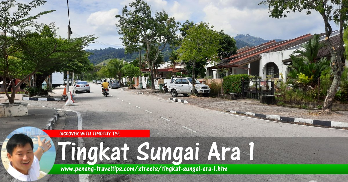 Tingkat Sungai Ara 1, Penang