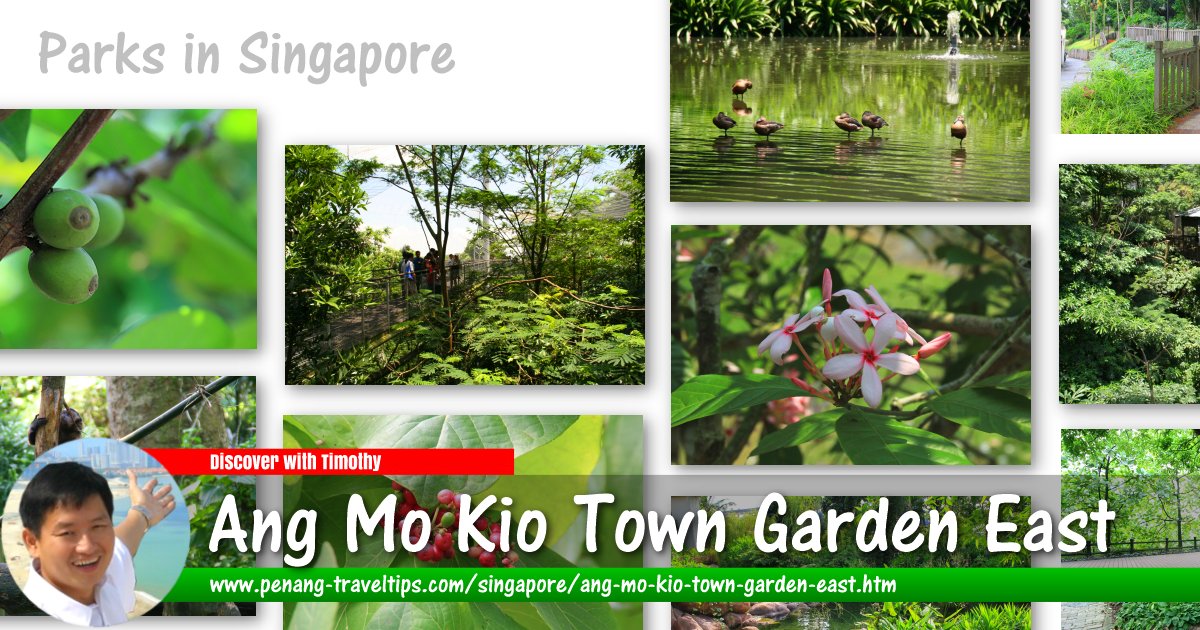 Ang Mo Kio Town Garden East, Singapore