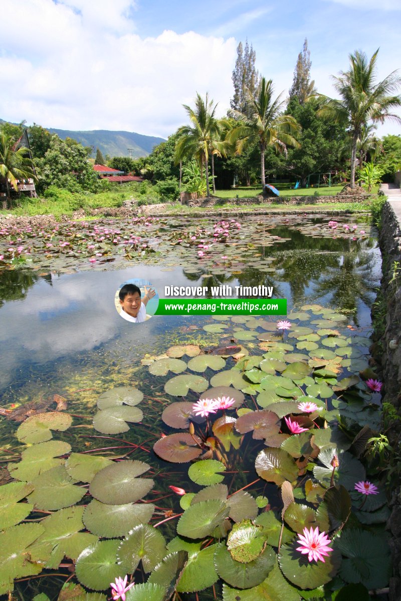 Bagus Bay, Samosir Island