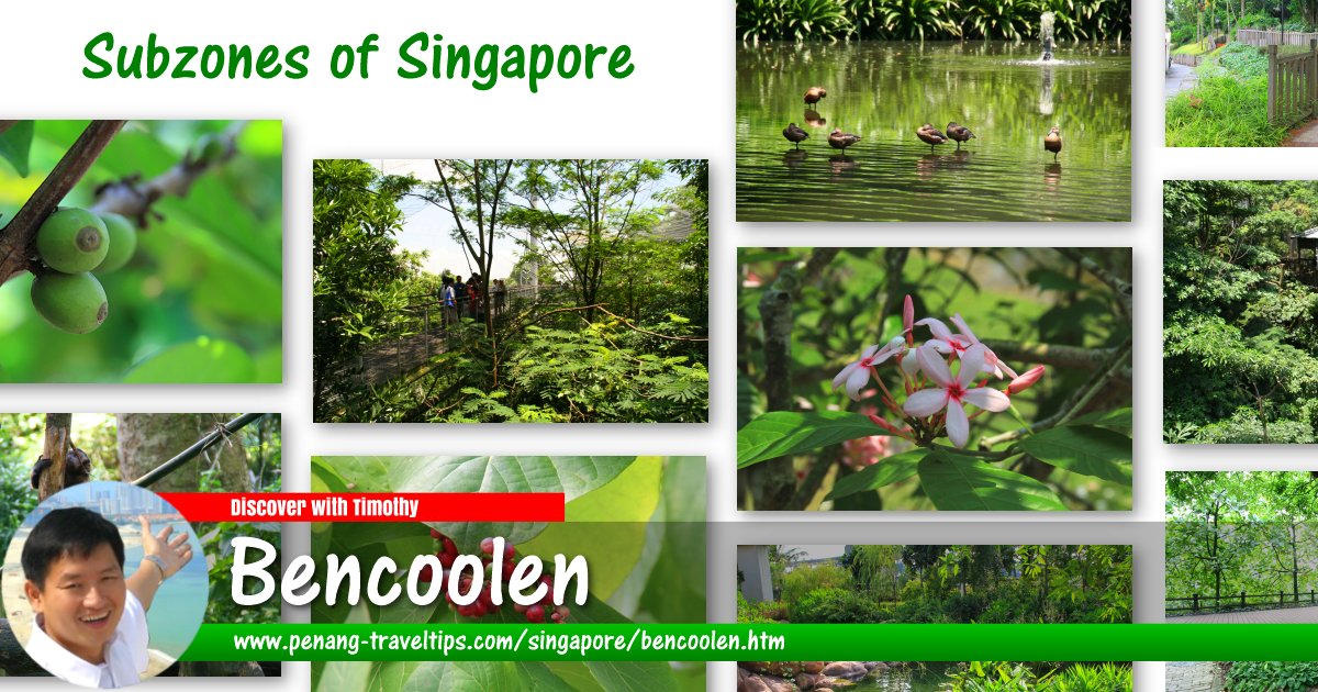 Bencoolen, Singapore