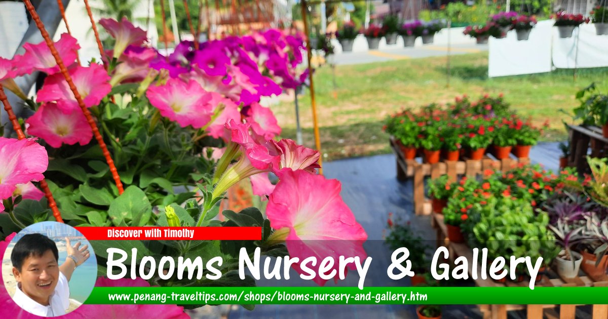 Blooms Nursery & Gallery, Kampung Seronok, Bayan Lepas, Penang