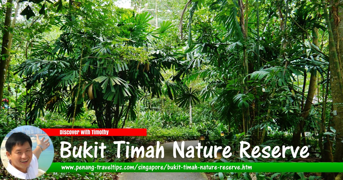 Bukit Timah Nature Reserve, Singapore