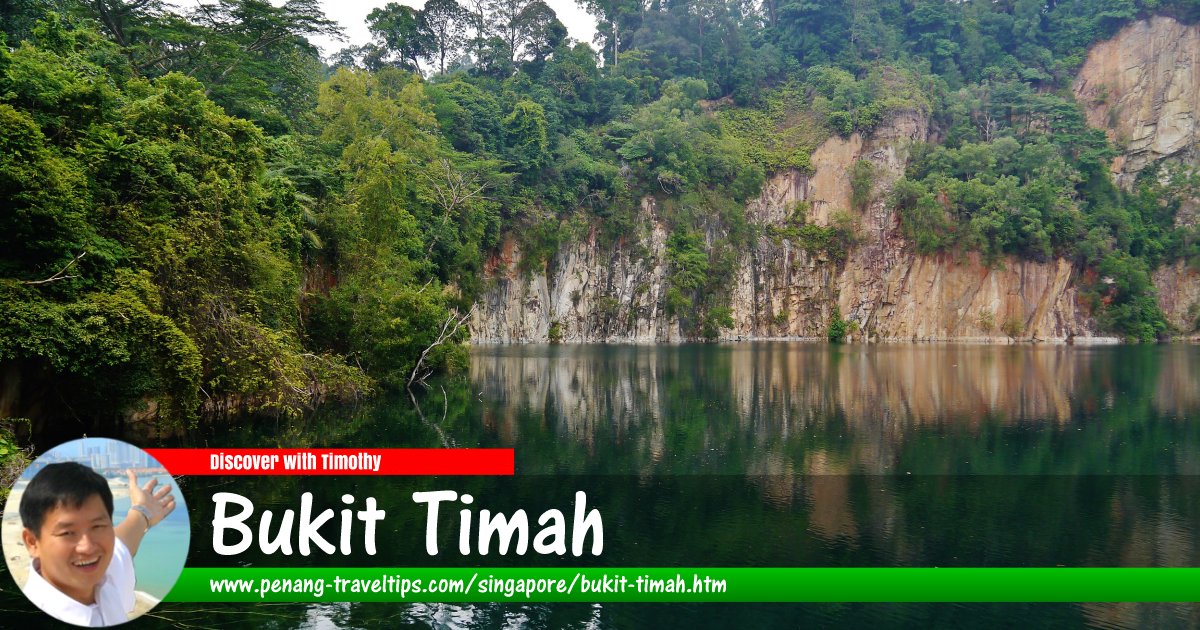 Bukit Timah Nature Reserve in Bukit Timah, Singapore