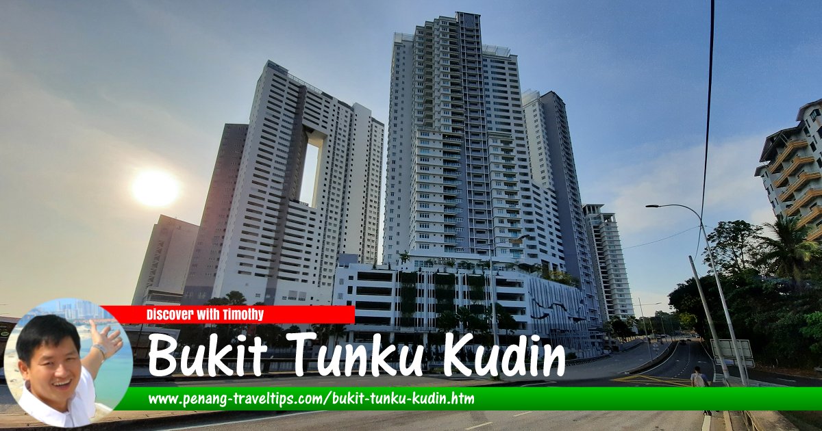 Bukit Tunku Kudin, Gelugor