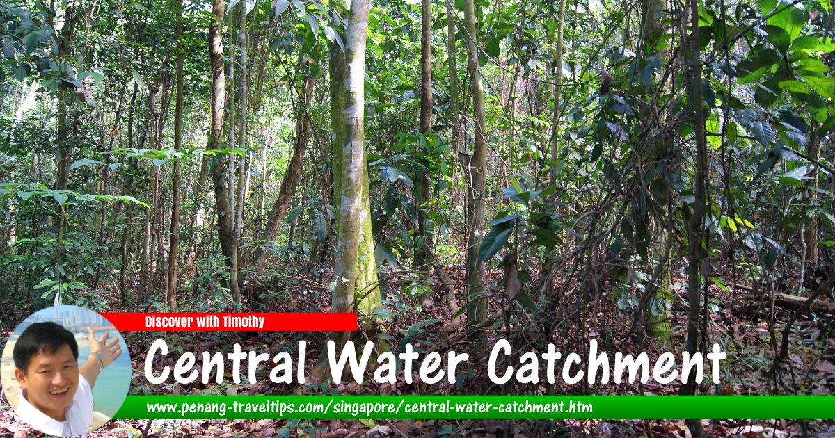 Central Water Catchment, Singapore