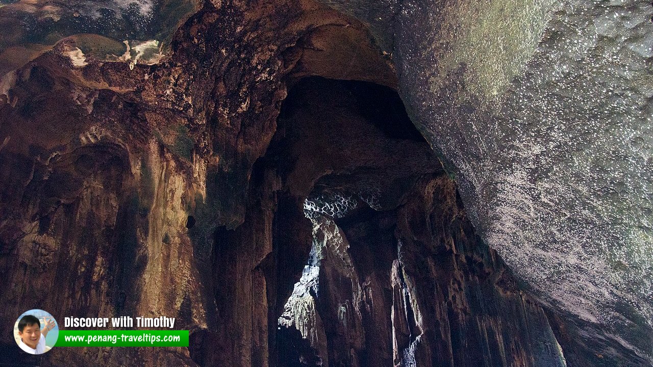 Gomantong Caves