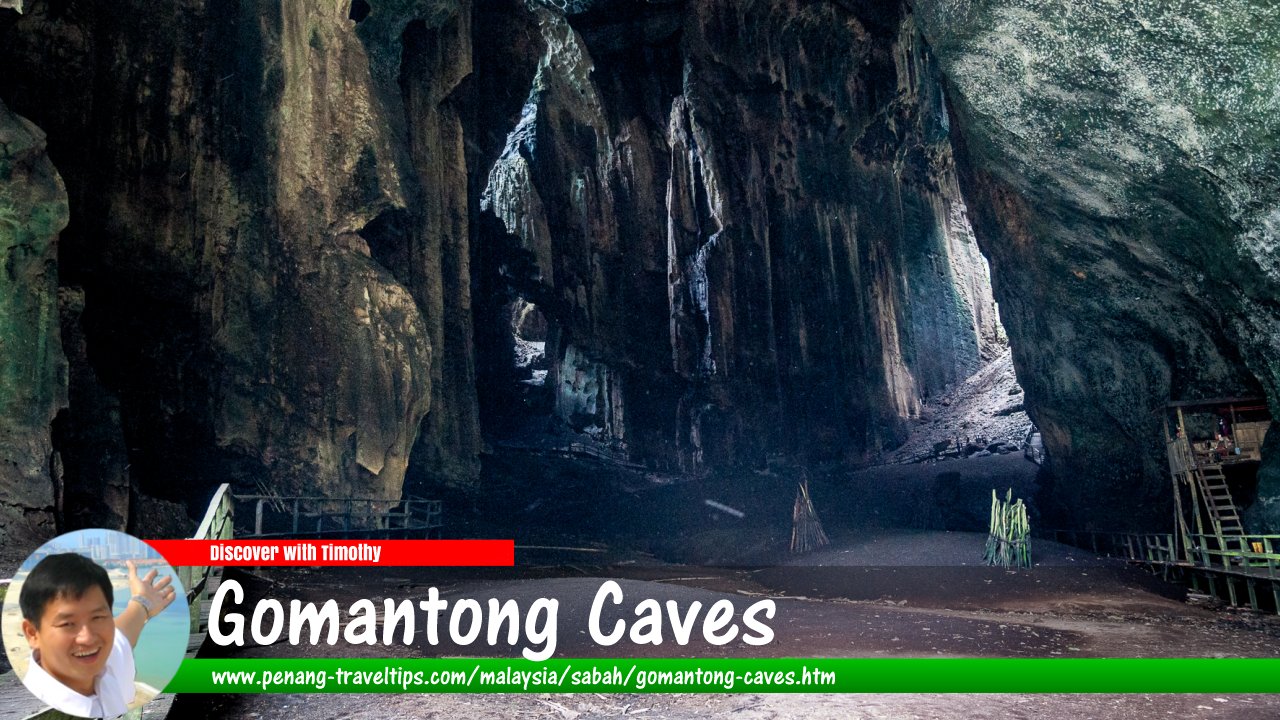 Gomantong Caves