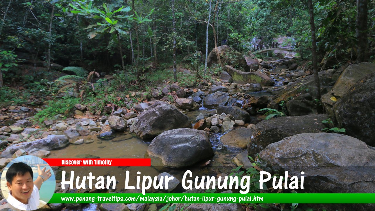 Hutan Lipur Gunung Pulai