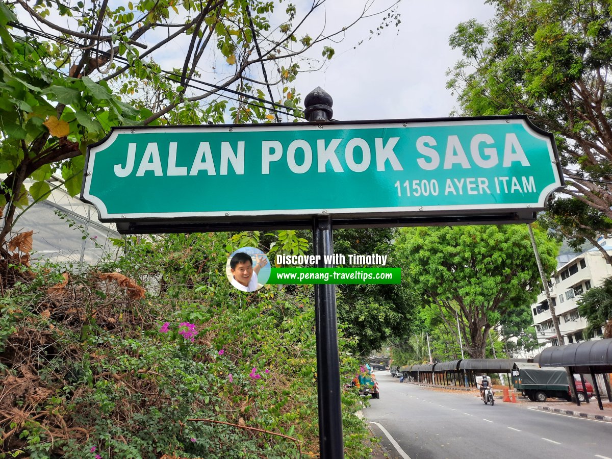 Jalan Pokok Saga roadsign