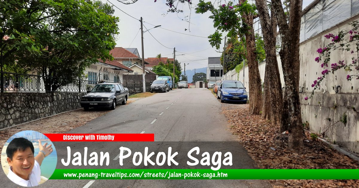 Jalan Pokok Saga, Ayer Itam, Penang