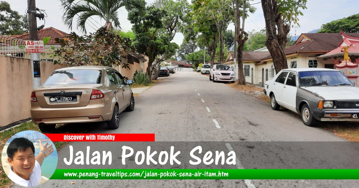 Jalan Pokok Sena, Ayer Itam, Penang