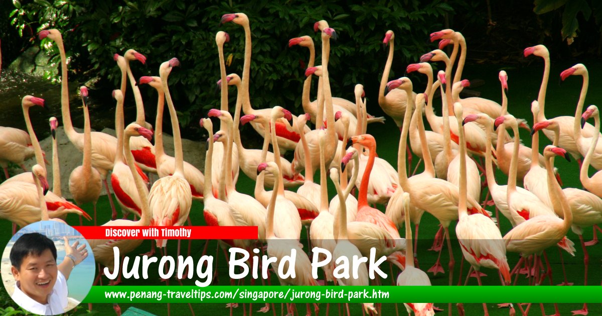 Jurong Bird Park, Singapore