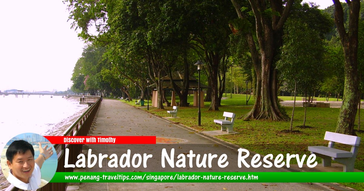 Labrador Nature Reserve, Singapore