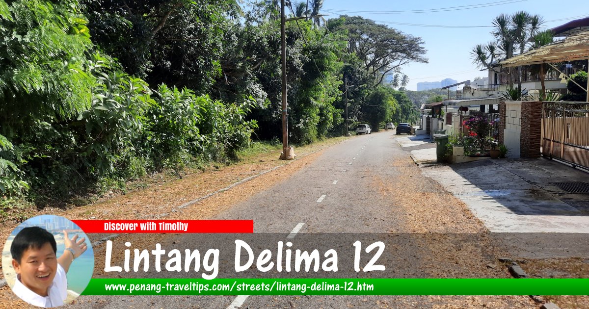 Lintang Delima 12, Island Glades