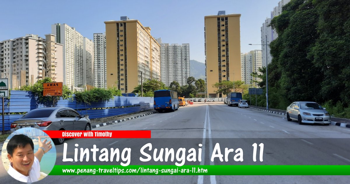 Lintang Sungai Ara 11