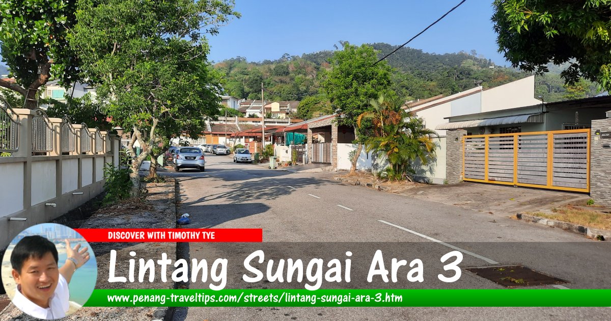 Lintang Sungai Ara 3