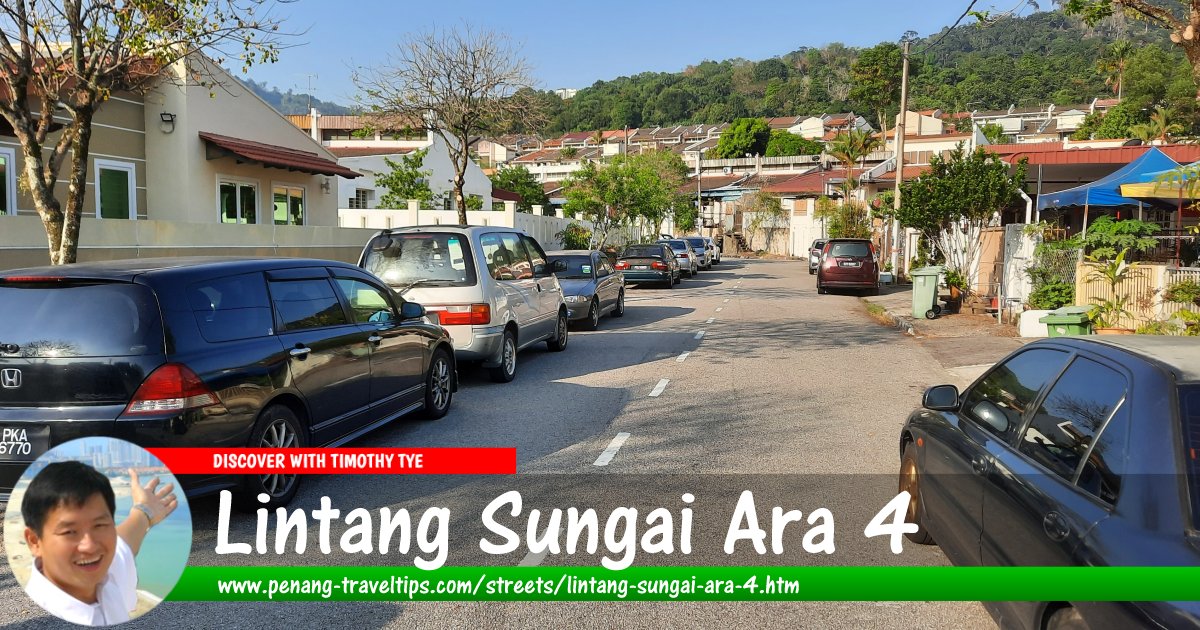 Lintang Sungai Ara 4