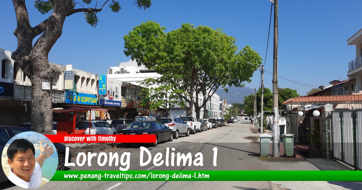 Lorong Delima 1, Island Glades