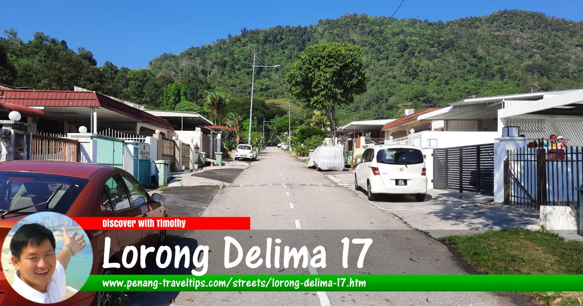 Lorong Delima 17, Island Glades