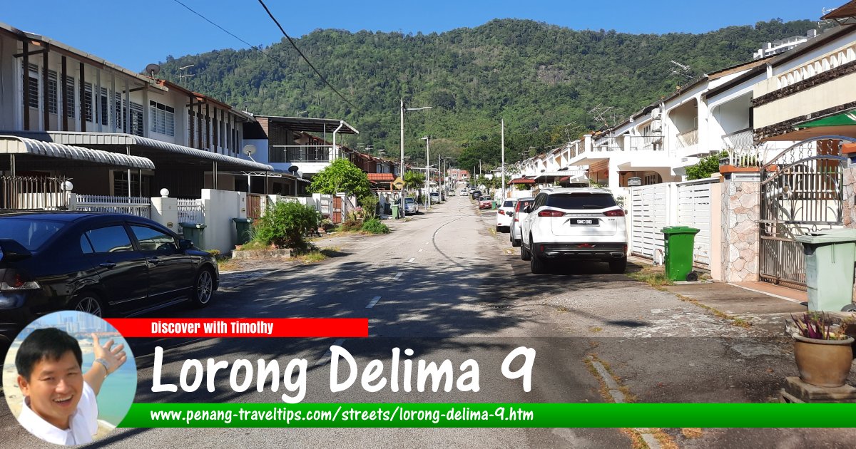 Lorong Delima 9, Island Glades, Penang