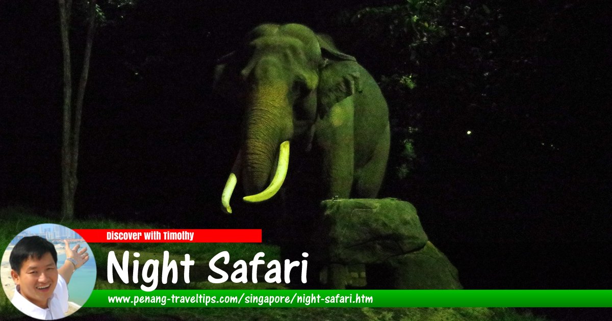 Night Safari, Singapore