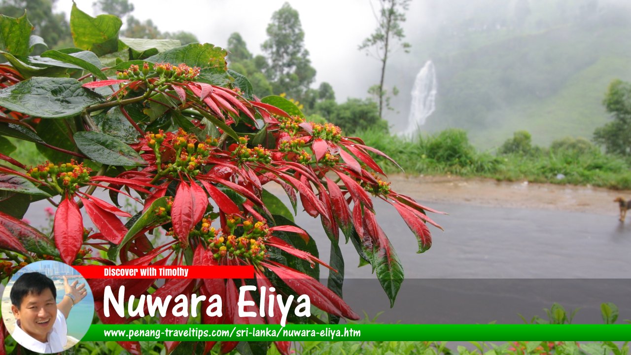 Nuwara Eliya, Sri Lanka