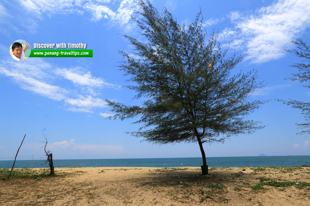 Pantai Bisikan Bayu, Kelantan