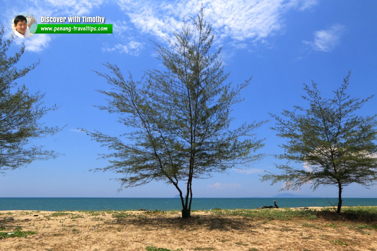 Pantai Bisikan Bayu, Kelantan