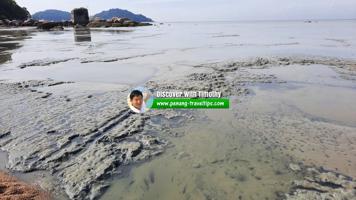 Pantai Esen, Permatang Damar Laut, Penang