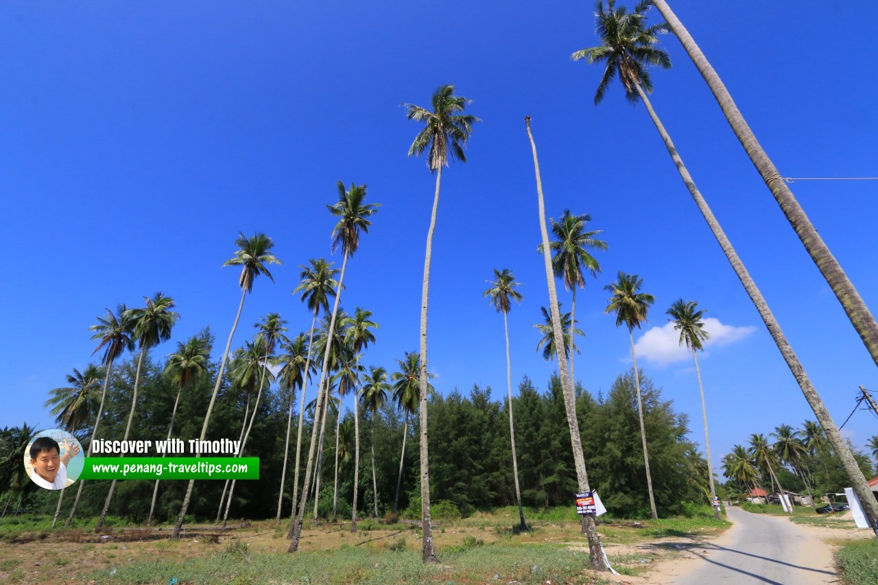 Pantai Kemayan, Bachok, Kelantan