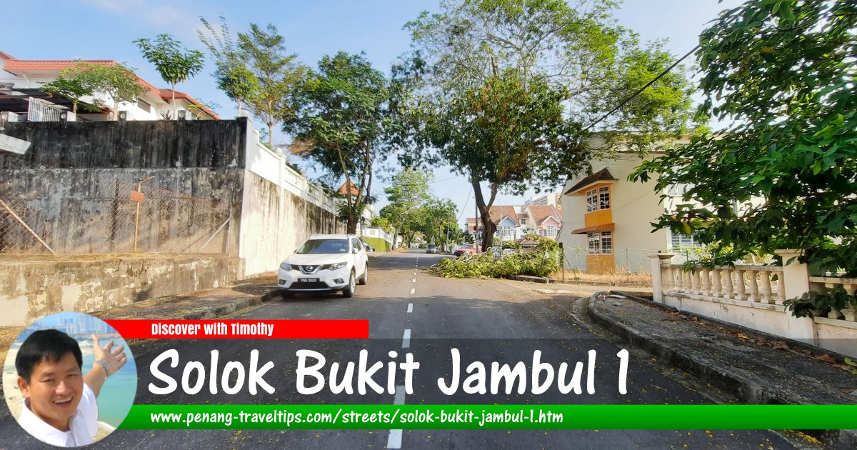 Solok Bukit Jambul 1